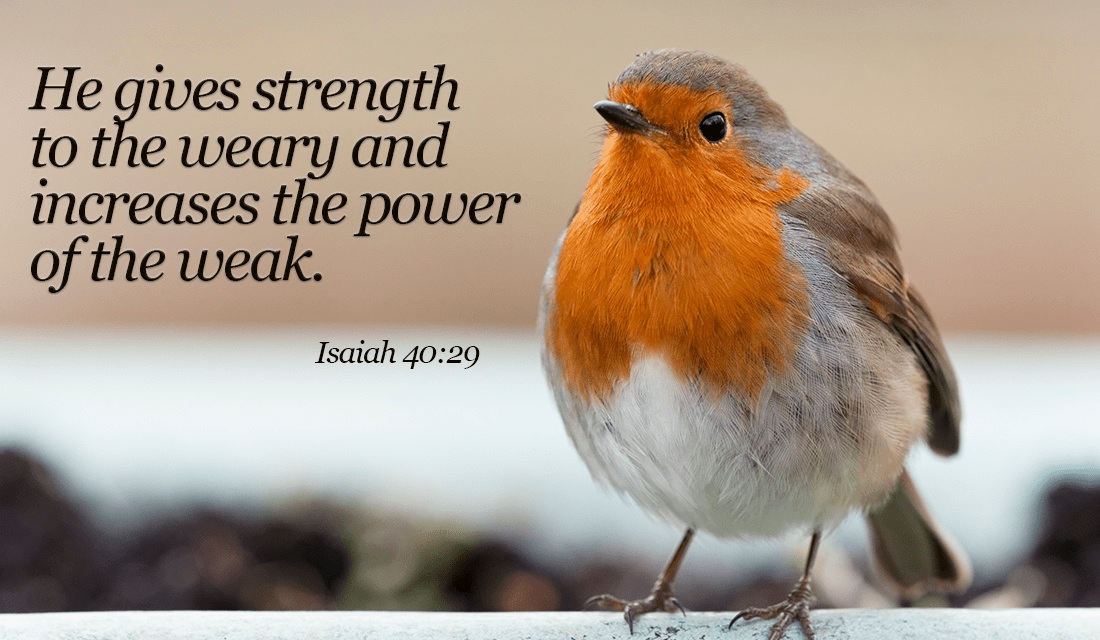 he gives strength to the weary